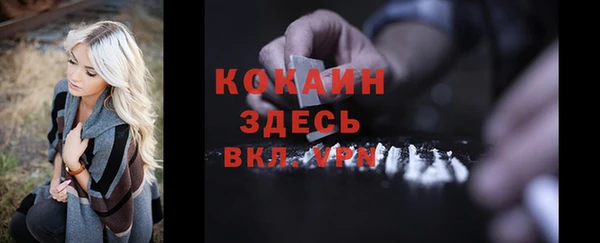 PSILOCYBIN Волосово