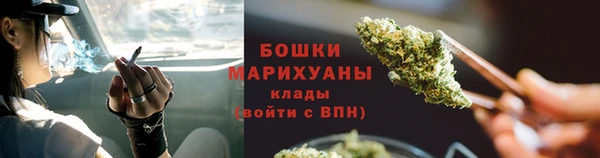PSILOCYBIN Волосово
