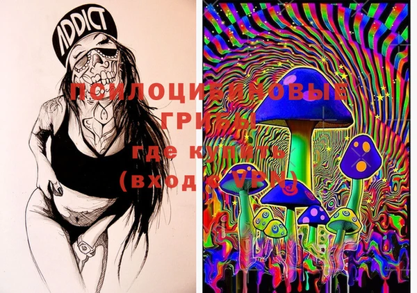 PSILOCYBIN Волосово