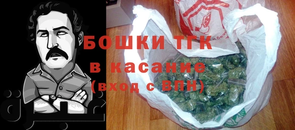 PSILOCYBIN Волосово