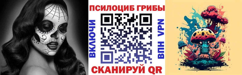 Купить закладки  Киренск  Псилоцибиновые грибы Magic Shrooms 